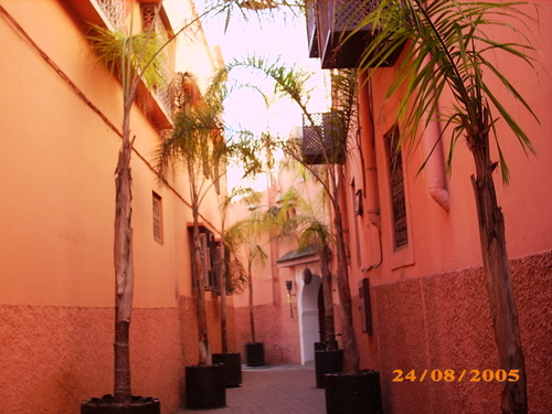 enduits à la chaux à Marrakech (voyage oct 2007)